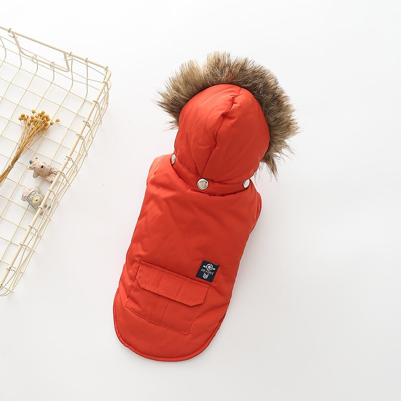 Cozy Winter Dog Coat – Holiday Gift Edition