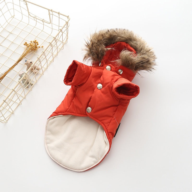 Cozy Winter Dog Coat – Holiday Gift Edition